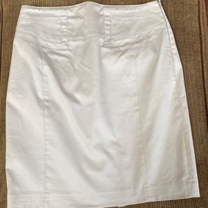Express Lined Skirt